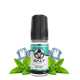 E-liquide Ice mint - Salt E-vapor