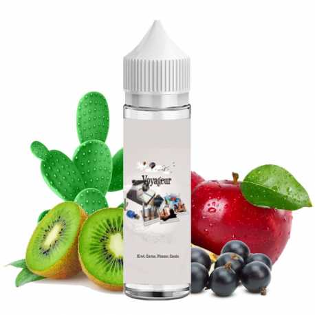 Voyageur 50ml – Bordo2