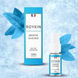 Menthe Glaciale Sel de Nicotine - Roykin