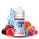 Concentré Fruits Rouges 30ml - Fresh Hit