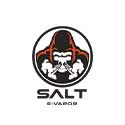SALT E-VAPOR