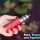 Test et revue : Kit iStick T80 de Eleaf