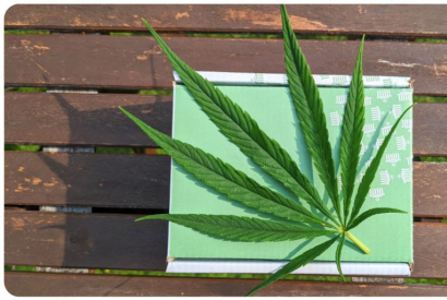 Quelle cigarette &eacute;lectronique choisir pour du CBD ? 