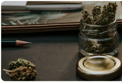 Qu'est-ce que la fleur de CBD ? 