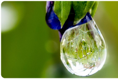 Peut-on vapoter des huiles essentielles avec ma cigarette &eacute;lectronique ?