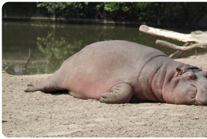 Dormez mieux gr&acirc;ce au CBD 